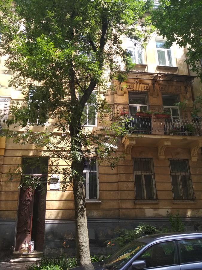Cosy flat Apartment Lviv Bagian luar foto